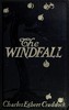 The windfall :  a novel